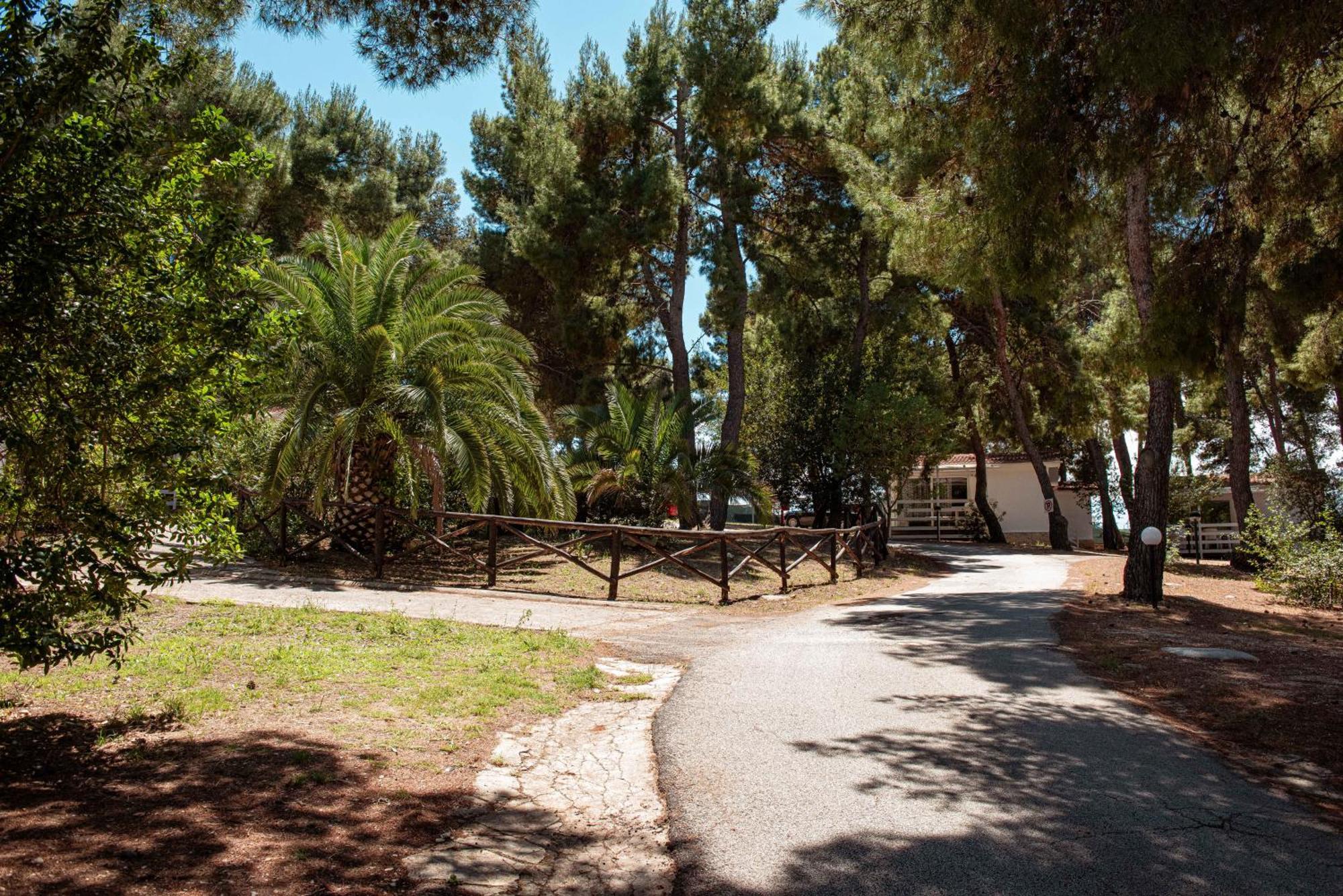 Villaggio Camping Punta Lunga Vieste Ngoại thất bức ảnh